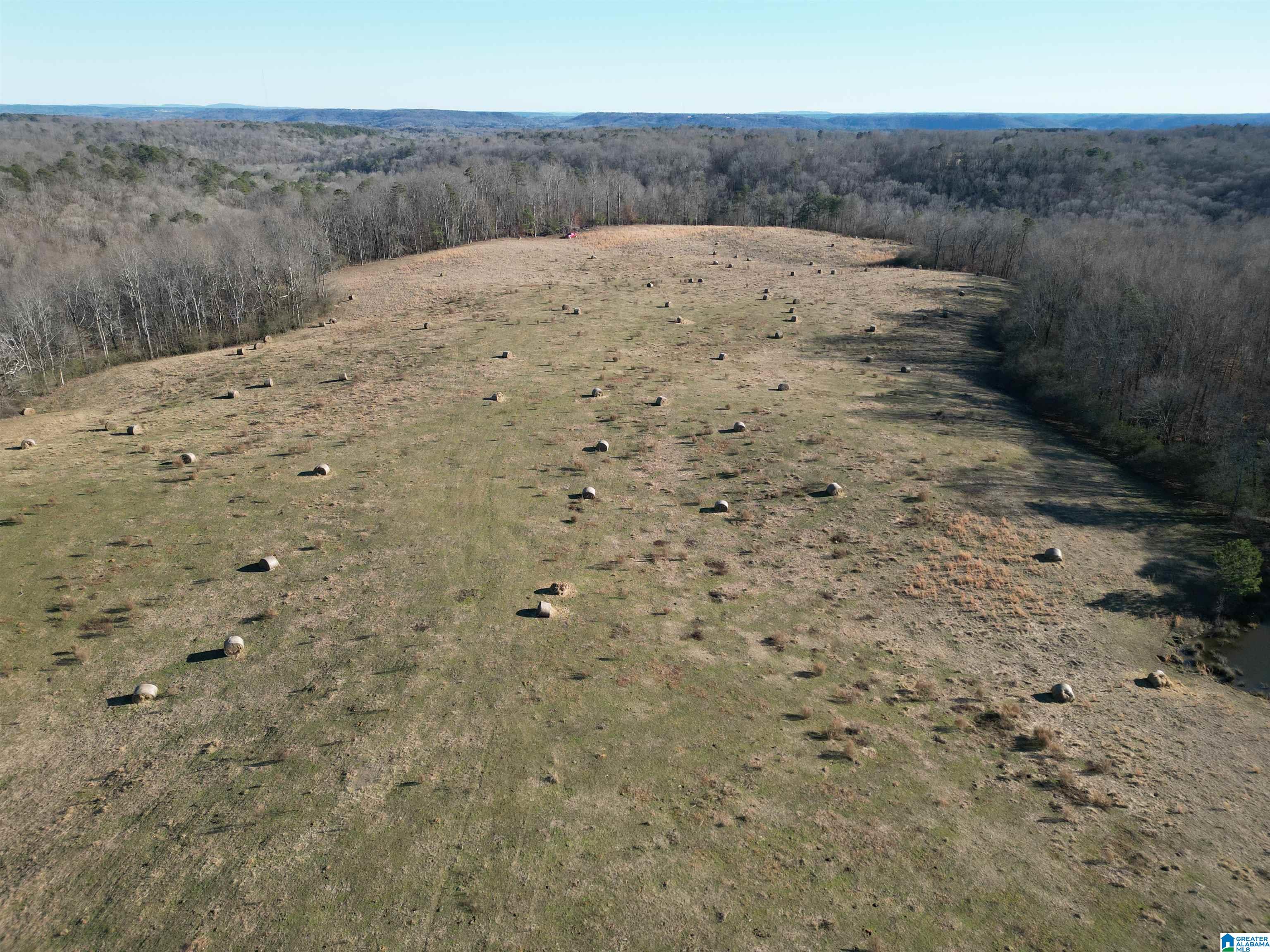 682 County Road 832 Logan, AL 35098 - Photo 23 of 48