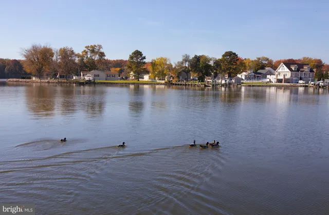 $1,000 | 7823 Denton Avenue, Unit 4, Baltimore, MD 21219