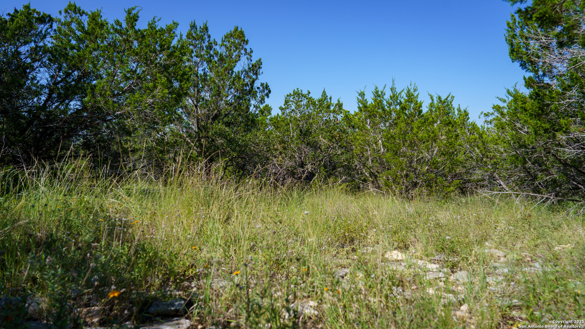 Lot 12 Mystic Ridge Estates Kerrville, TX 78028 - Photo 12 of 36