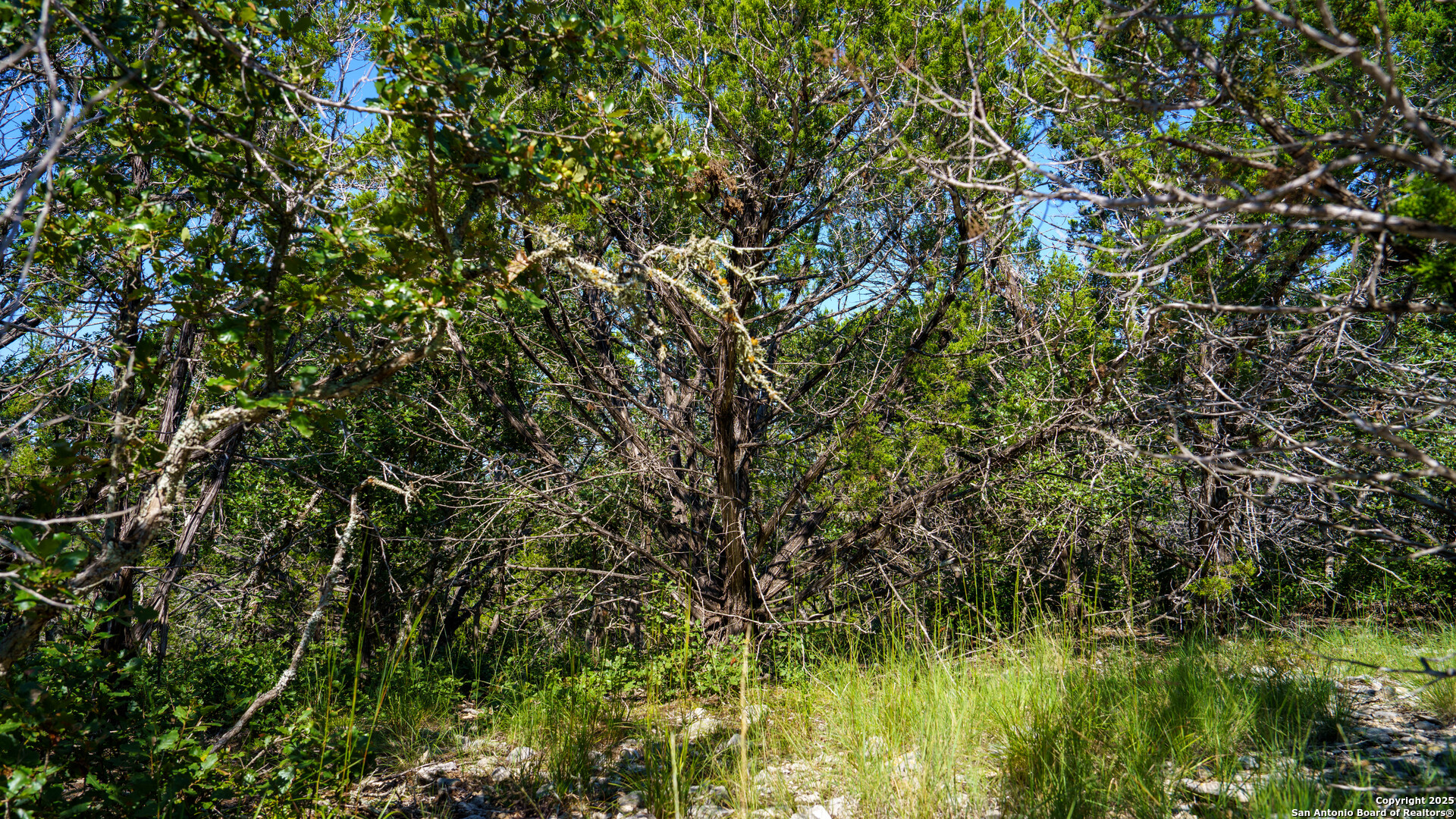 Lot 12 Mystic Ridge Estates Kerrville, TX 78028 - Photo 13 of 36