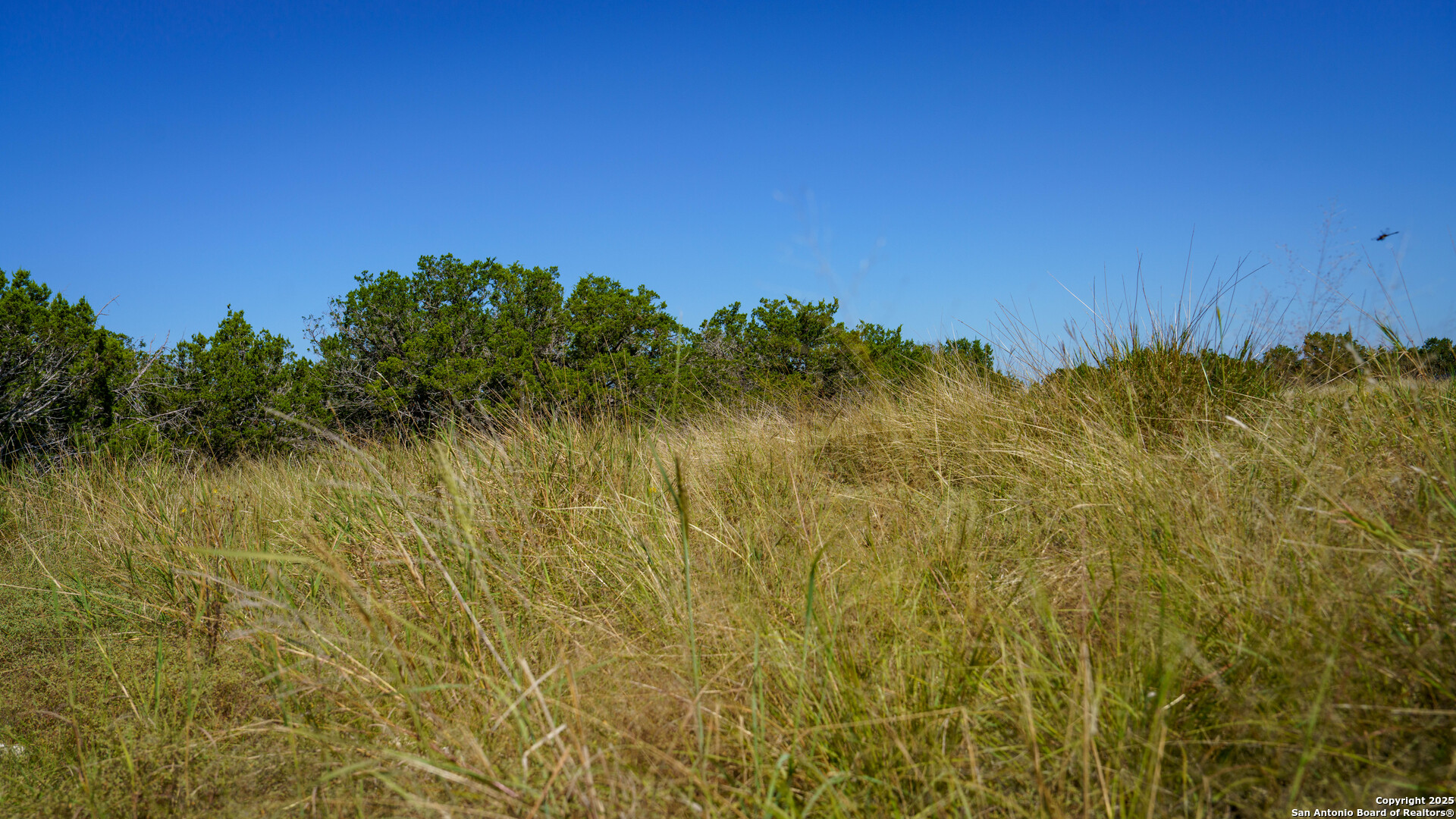 Lot 12 Mystic Ridge Estates Kerrville, TX 78028 - Photo 14 of 36