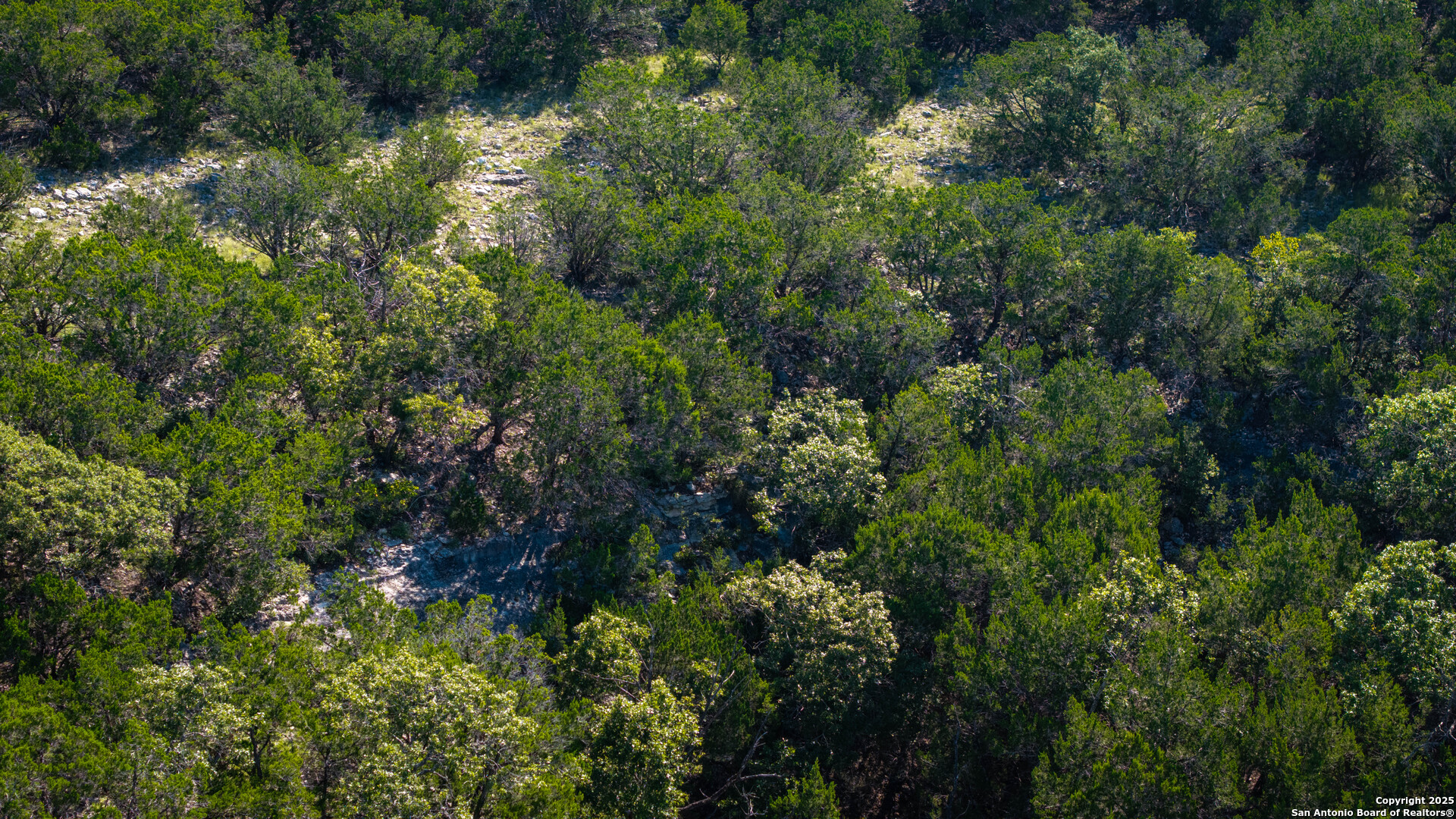 Lot 12 Mystic Ridge Estates Kerrville, TX 78028 - Photo 17 of 36