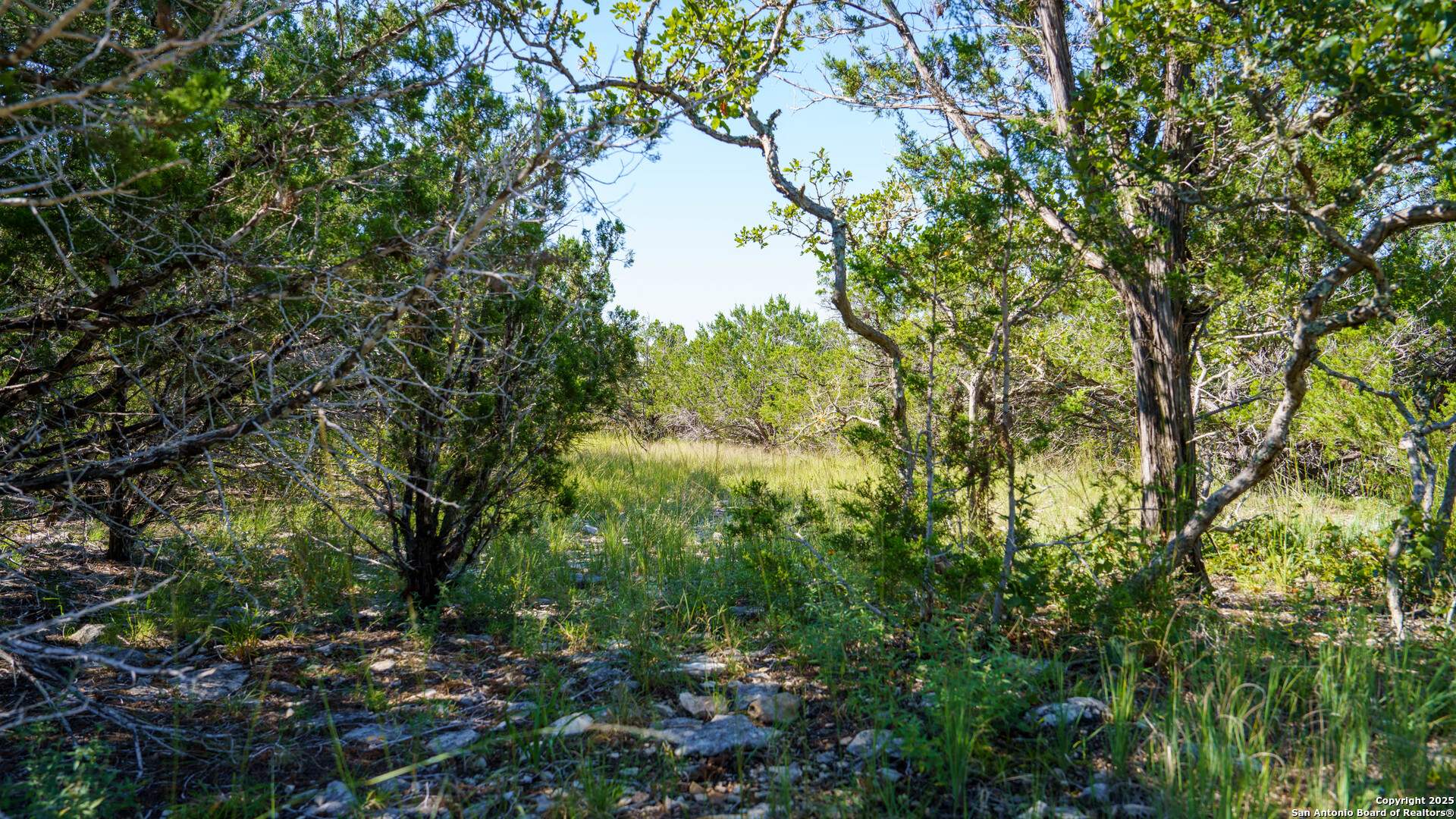 Lot 12 Mystic Ridge Estates Kerrville, TX 78028 - Photo 4 of 36