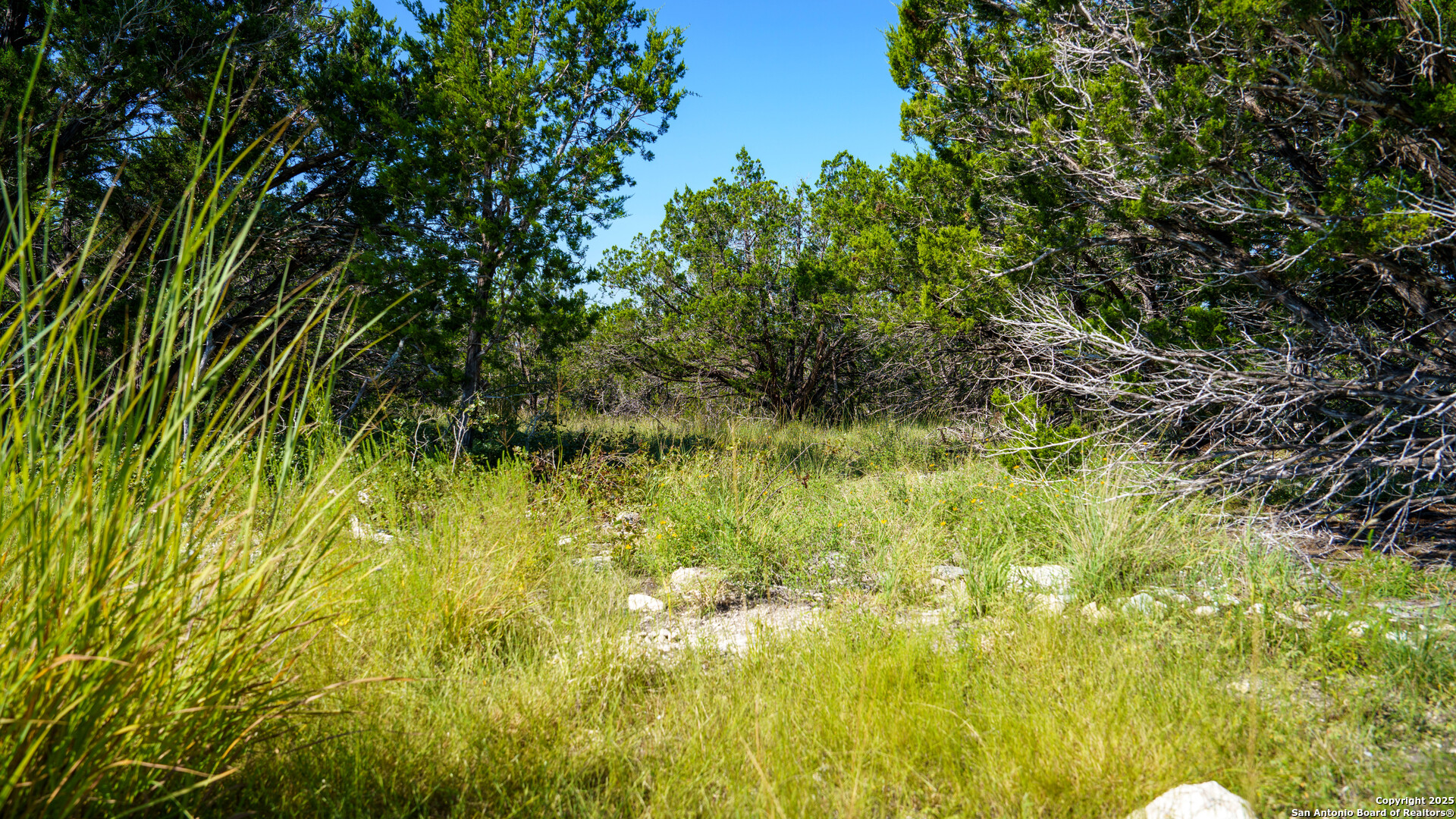 Lot 12 Mystic Ridge Estates Kerrville, TX 78028 - Photo 6 of 36