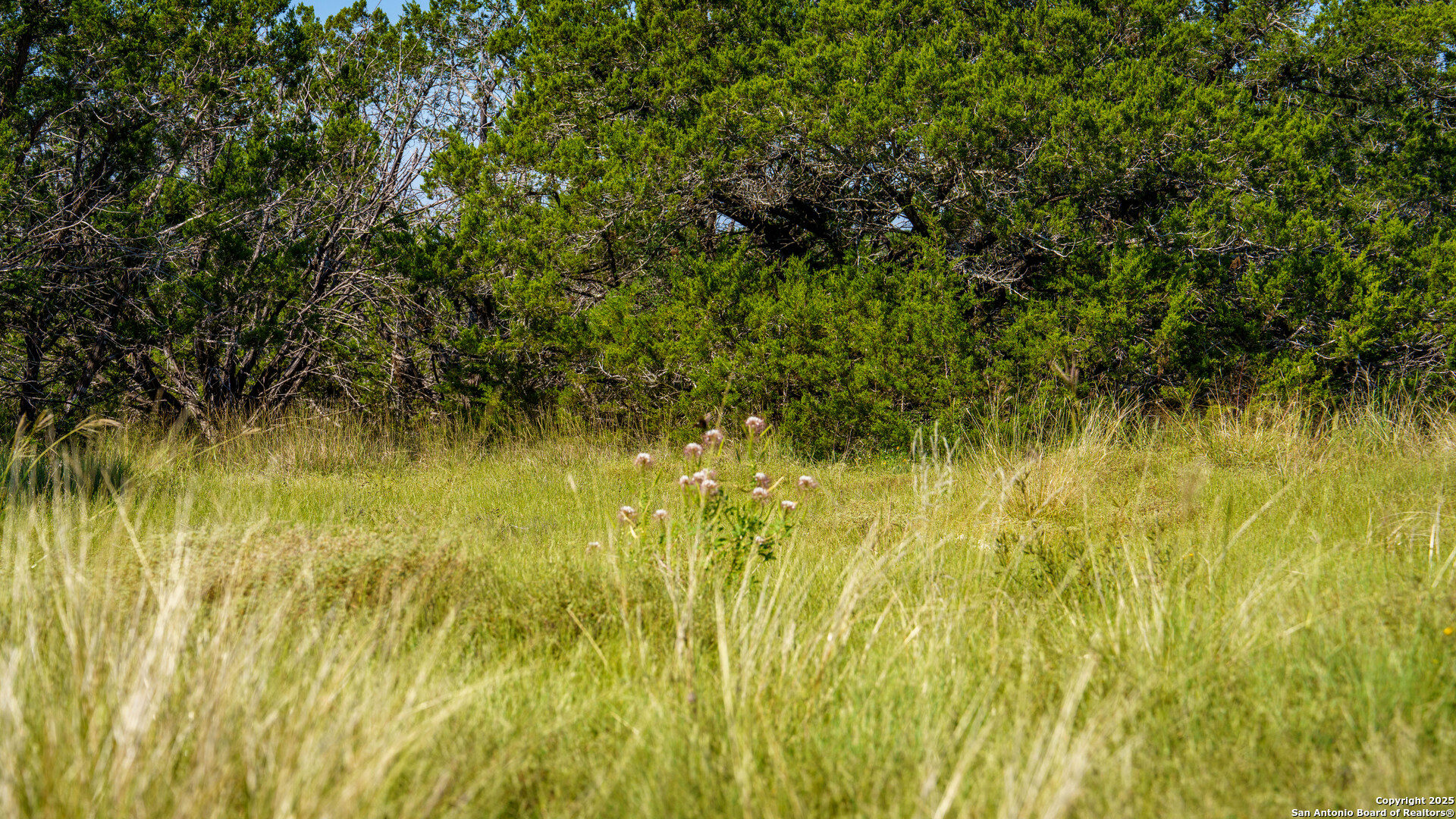 Lot 12 Mystic Ridge Estates Kerrville, TX 78028 - Photo 9 of 36