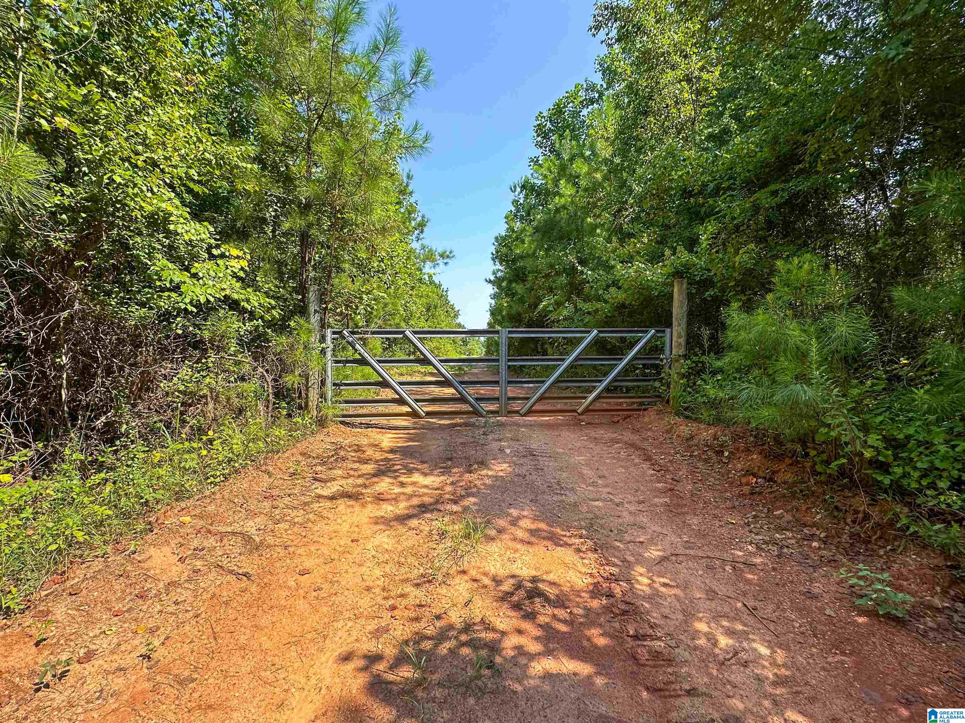 0 County Road 465, Unit 1 Clanton, AL 35045 - Photo 16 of 16