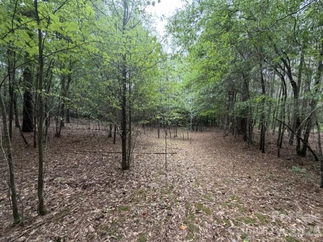 1100 Blacksburg Road Grover, NC 28073 - Photo 15 of 24