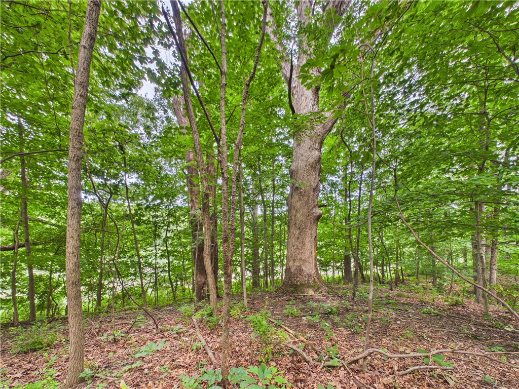 21000 East 500th Road Paris, IL 61944 - Photo 33 of 34