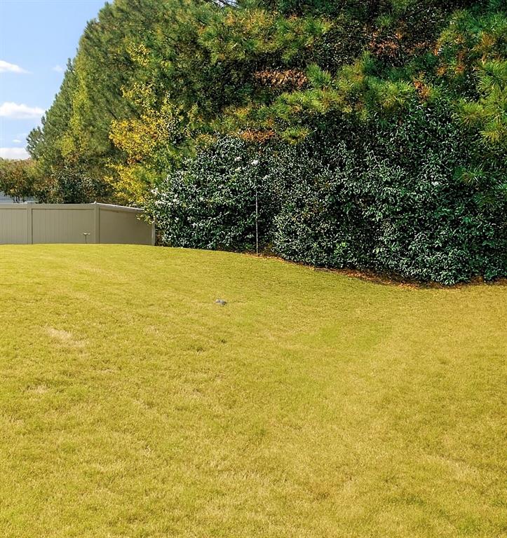 830 Commerce Trail Canton, GA 30114 - Photo 31 of 32 a view of an ocean view