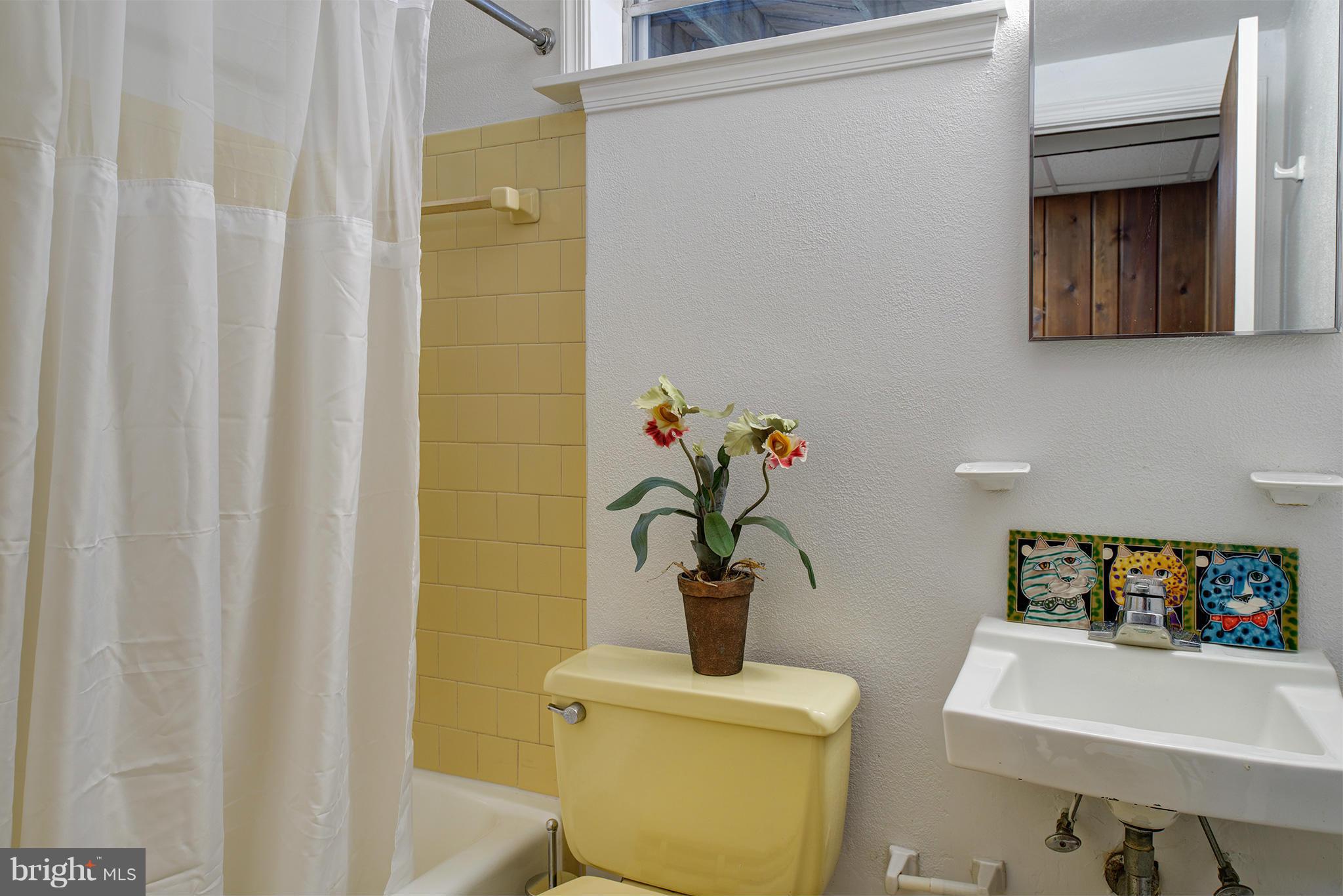 822 Springvale Road Great Falls, VA 22066 - Photo 21 of 28 Bath