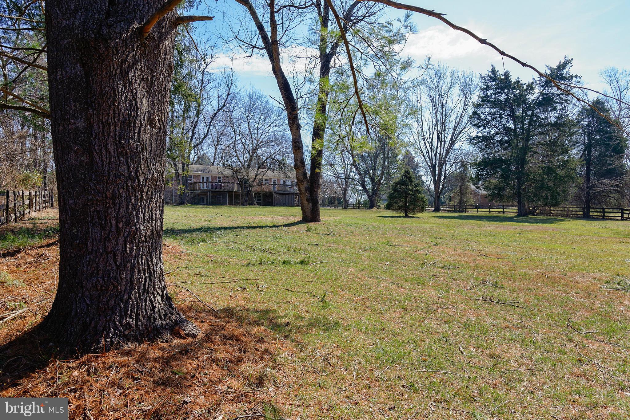 822 Springvale Road Great Falls, VA 22066 - Photo 27 of 28 Exterior (Rear)