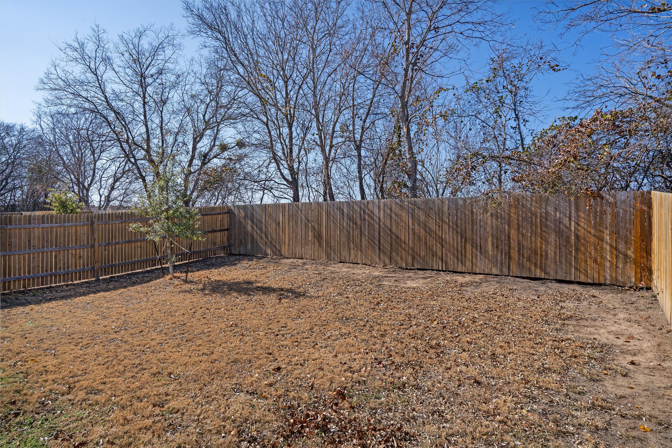 352 Sickle Loop Uhland, TX 78640 - Photo 33 of 36 Covered back patio overlooking open land.