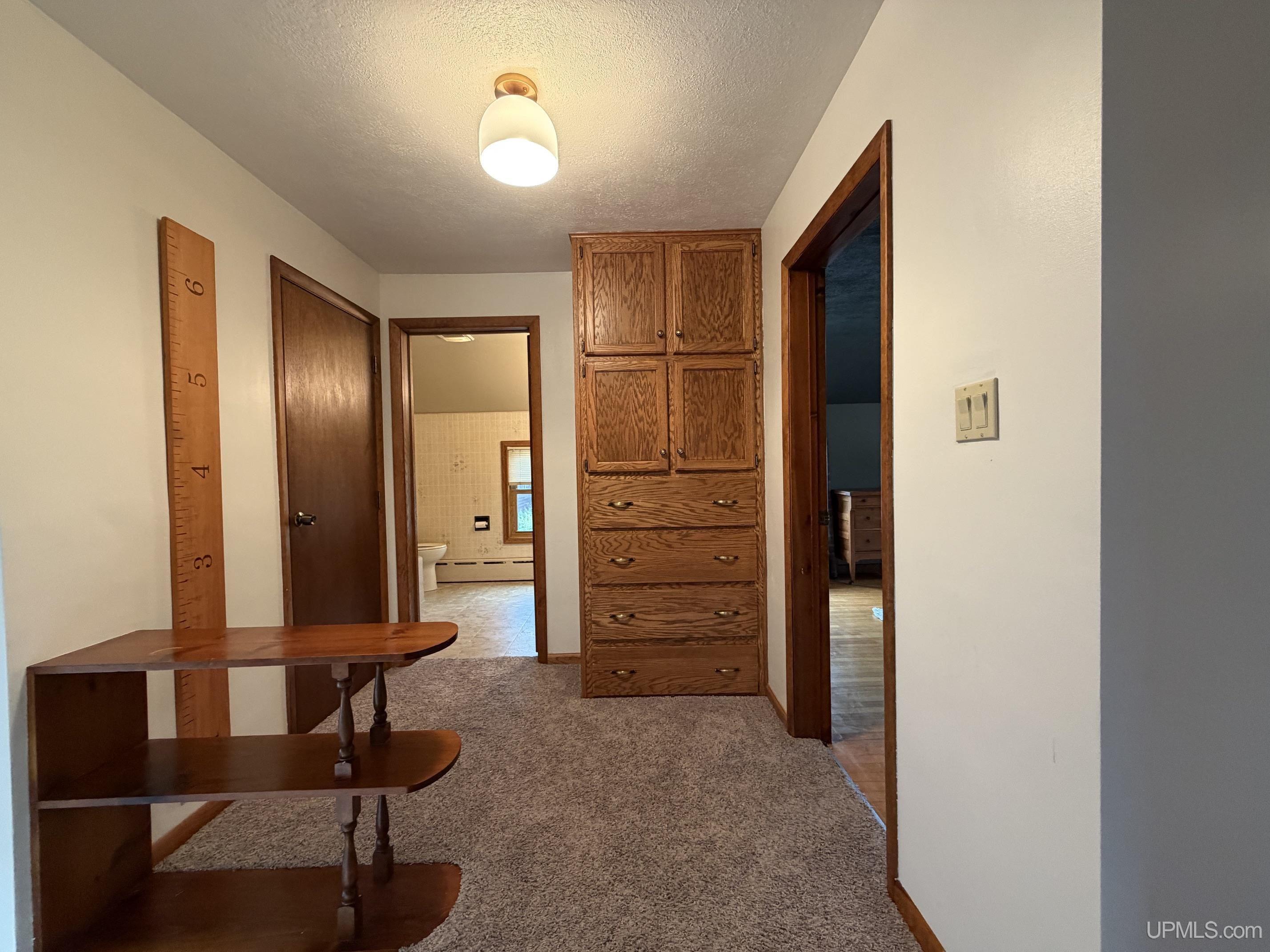 326 West Ridge Street Ishpeming, MI 49849 - Photo 25 of 61