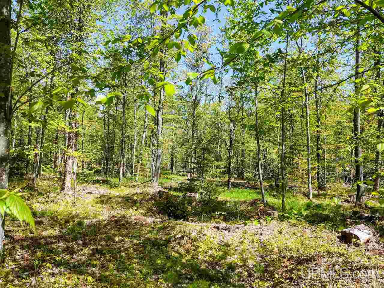 Tbd-parcel Point Abbaye Road Lanse, MI 49946 - Photo 22 of 25