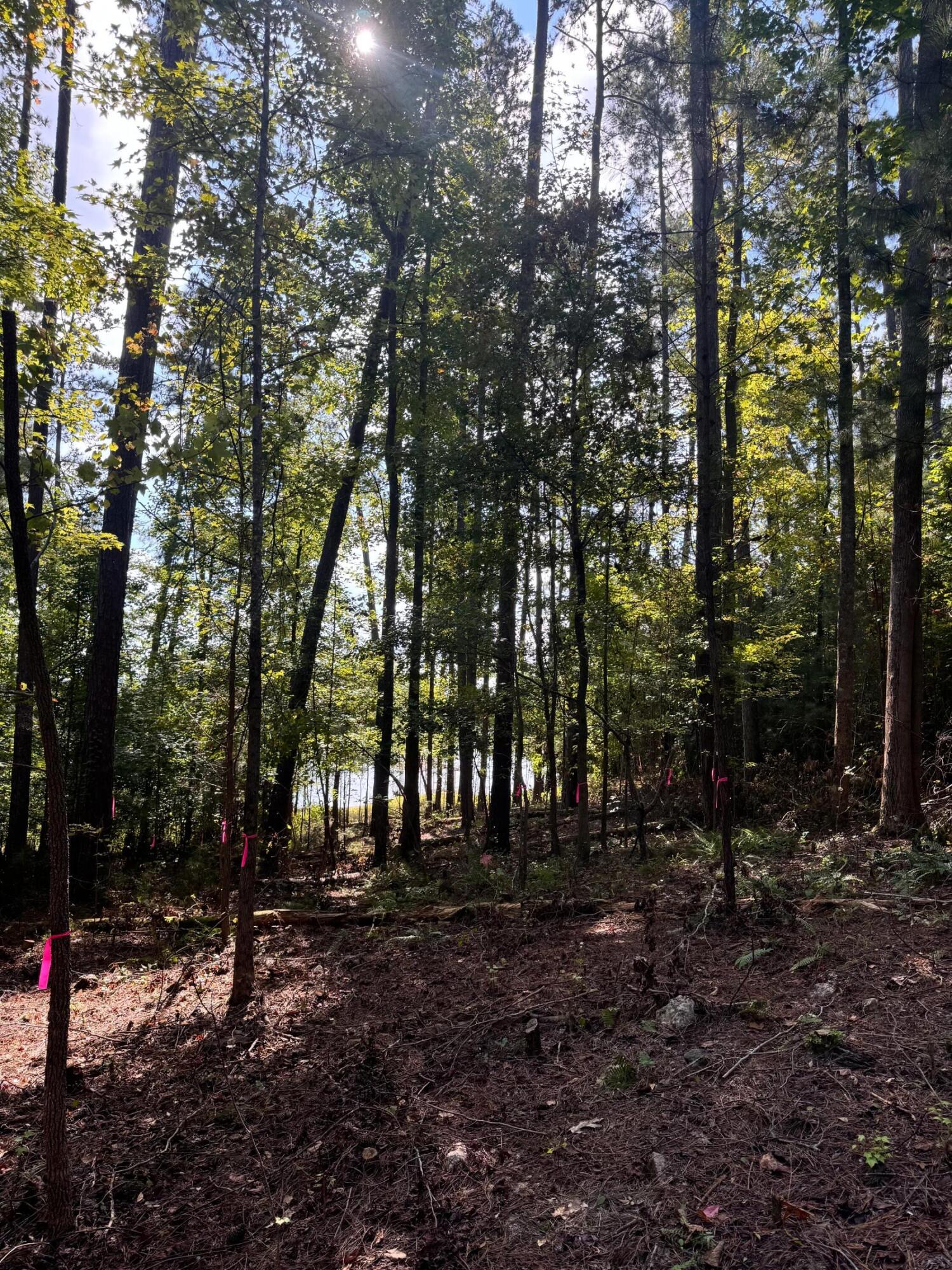0 Ridgeview Drive Tignall, GA 30668 - Photo 2 of 11 IMG_1746