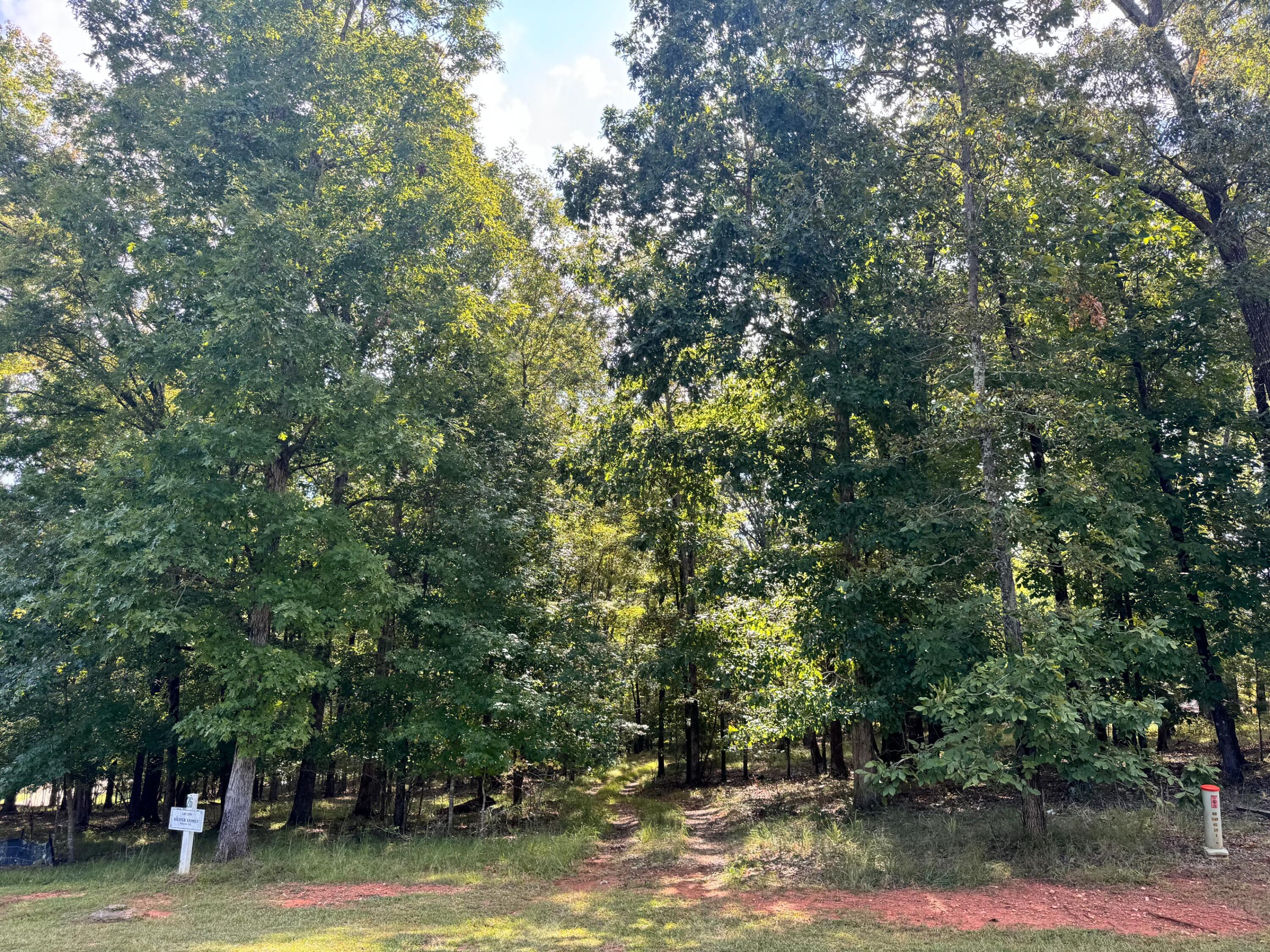 0 Ridgeview Drive Tignall, GA 30668 - Photo 6 of 11 IMG_1755