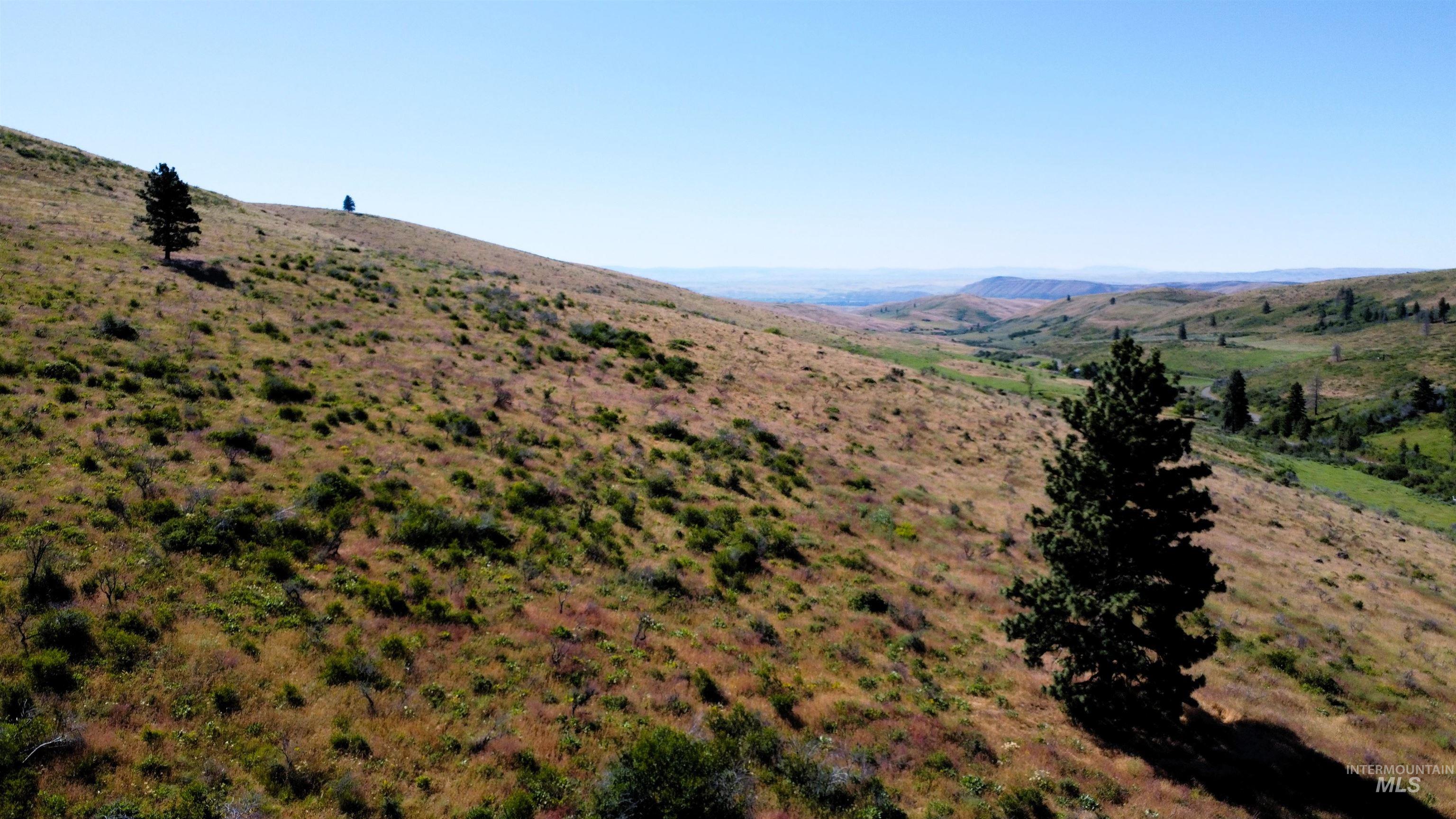 Tbd Advent Gulch Road Cambridge, ID 83610 - Photo 10 of 24