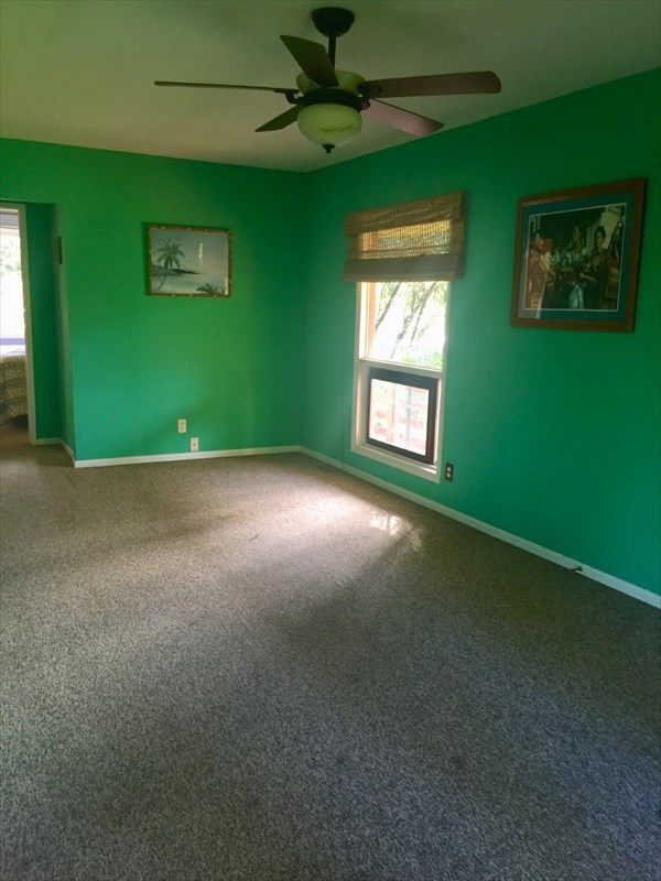 14-635 Seaview Road Pahoa, HI 96778 - Photo 4 of 15 Gallery Image 4