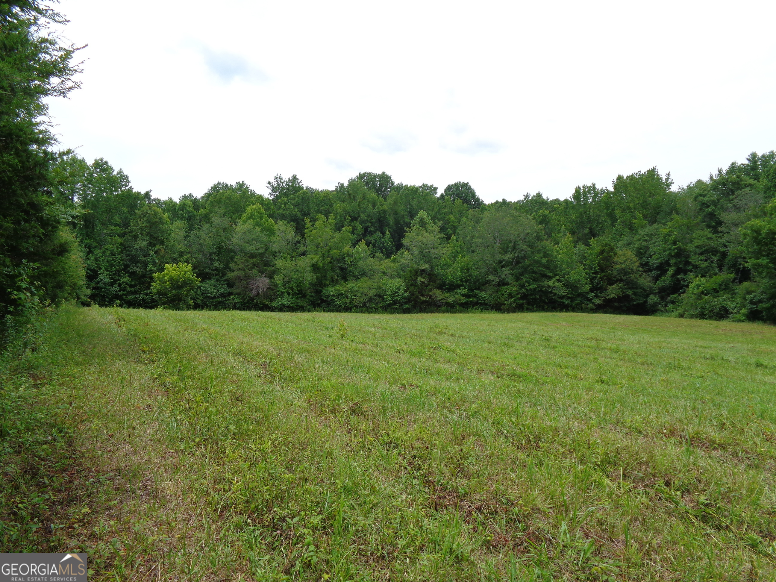 2411 Kesler Road Carnesville, GA 30521 - Photo 57 of 61 a view of a outdoor space with green field and trees