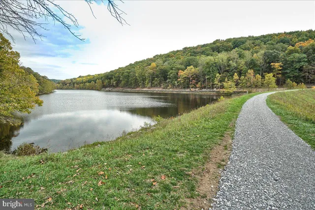 a view of a lake with a yard and large trees