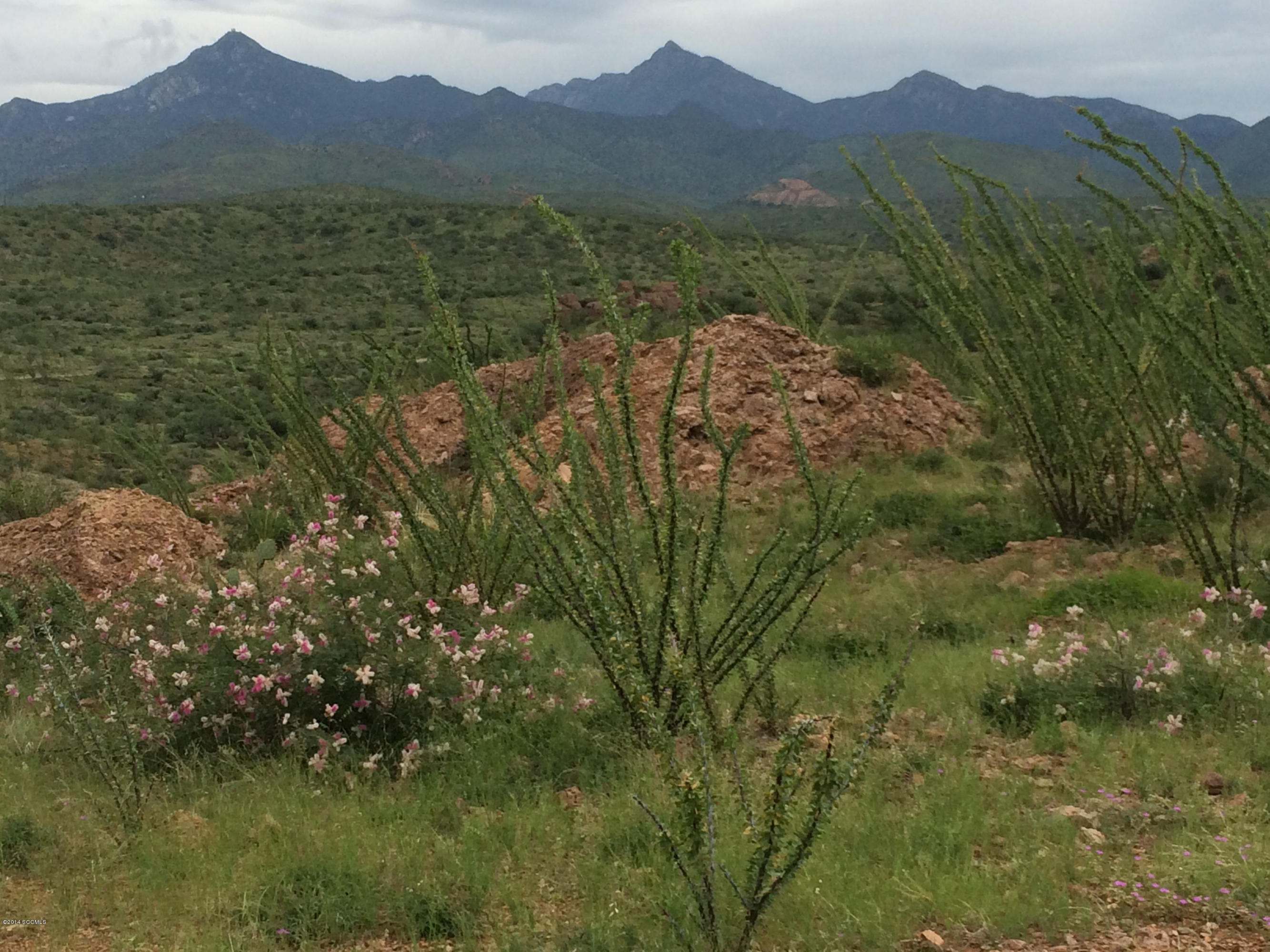Tbd Tbd Camino Carina Rio Rico, AZ 85648 - Photo 1 of 10