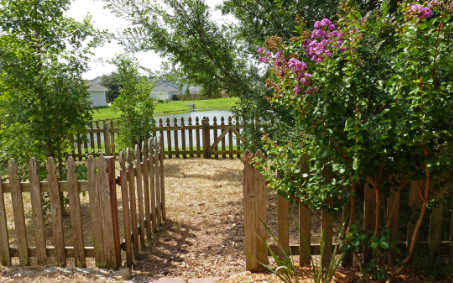 96050 Starlight Lane Yulee, FL 32097 - Photo 2 of 24 a view of a pathway of a house with large trees