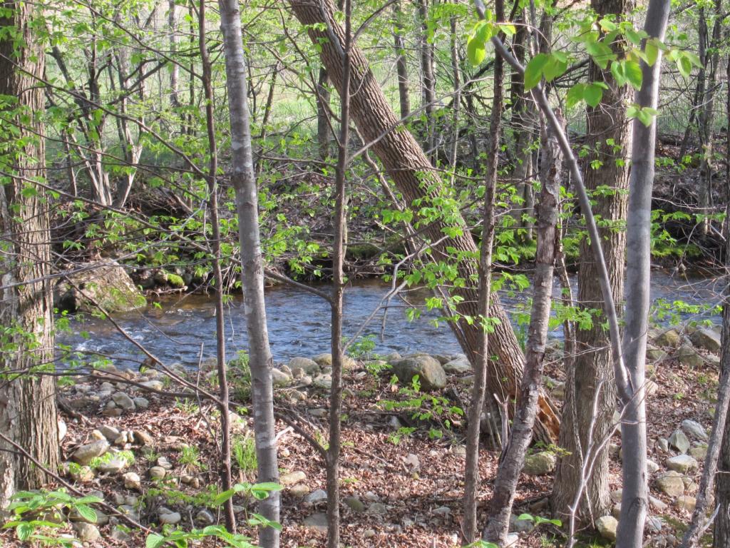 126 East Manchester Road Manchester, VT 05255 - Photo 10 of 12 Gallery Image 10