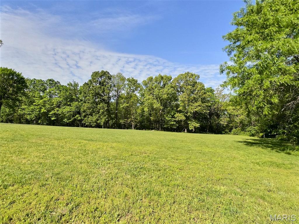 6135 Wayne Rte D Greenville, MO 63944 - Photo 22 of 38