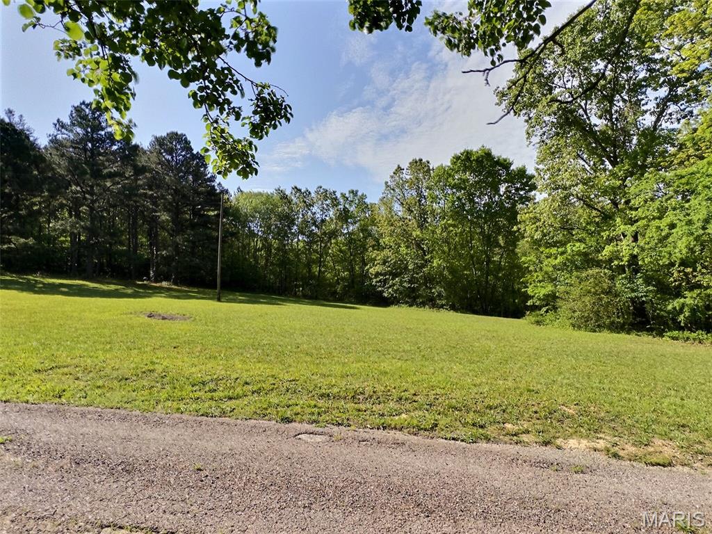 6135 Wayne Rte D Greenville, MO 63944 - Photo 28 of 38