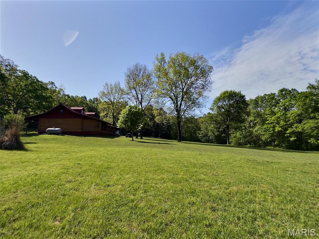 6135 Wayne Rte D Greenville, MO 63944 - Photo 29 of 38