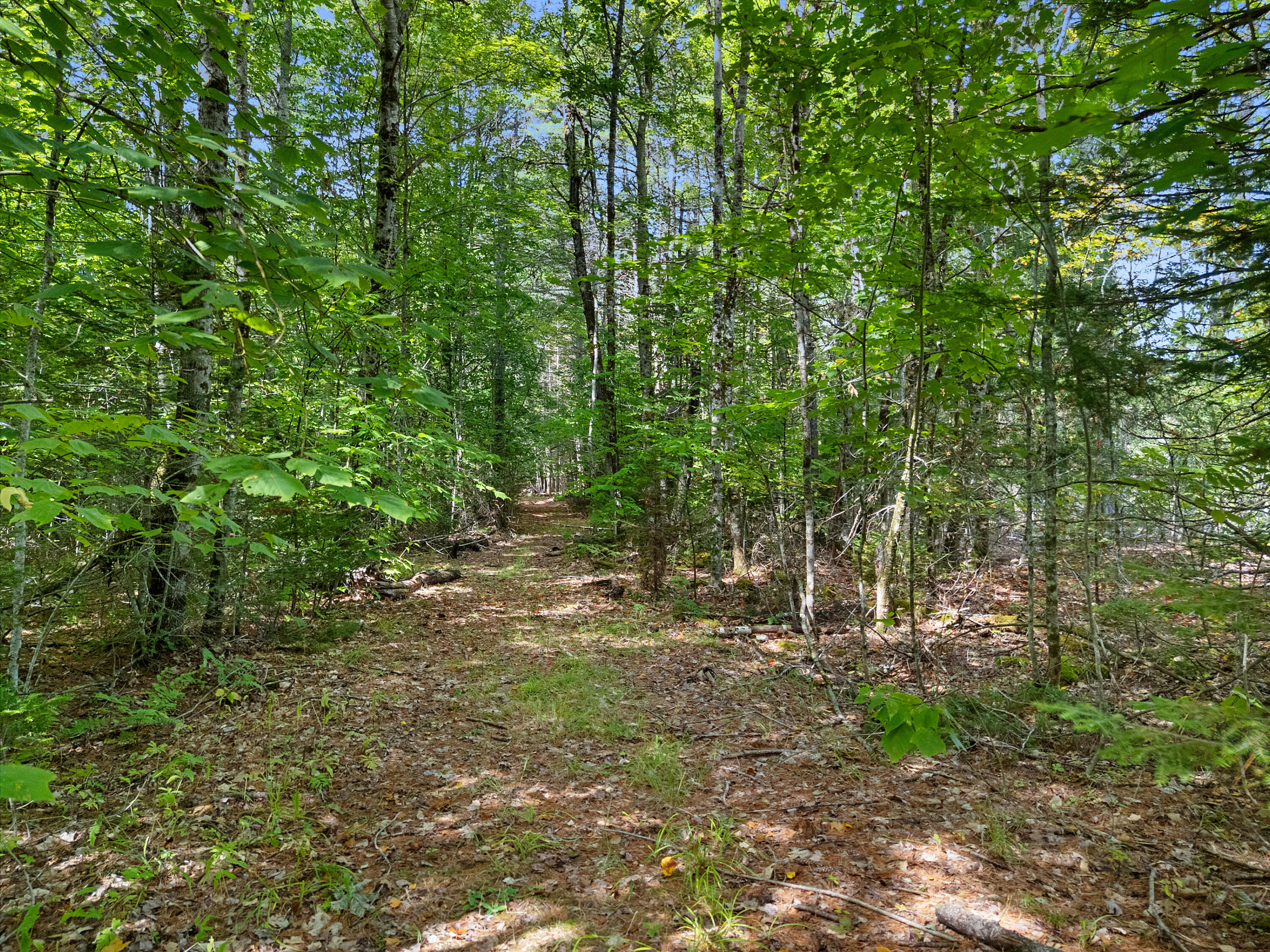 13-l 36 Prescott Road Washington, ME 04574 - Photo 8 of 8 Remnant of Trail