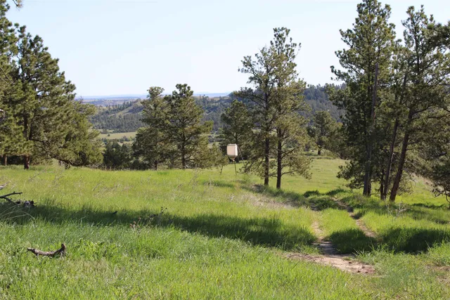 $6,750,000 | 100 Mule Creek Road, Hulett, WY 82720