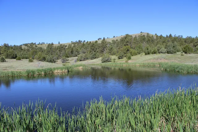 $6,750,000 | 100 Mule Creek Road, Hulett, WY 82720