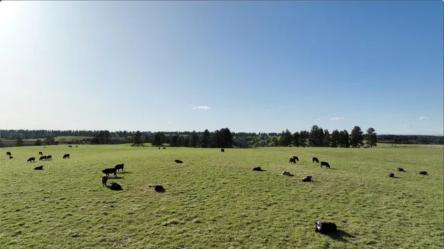 $6,750,000 | 100 Mule Creek Road, Hulett, WY 82720