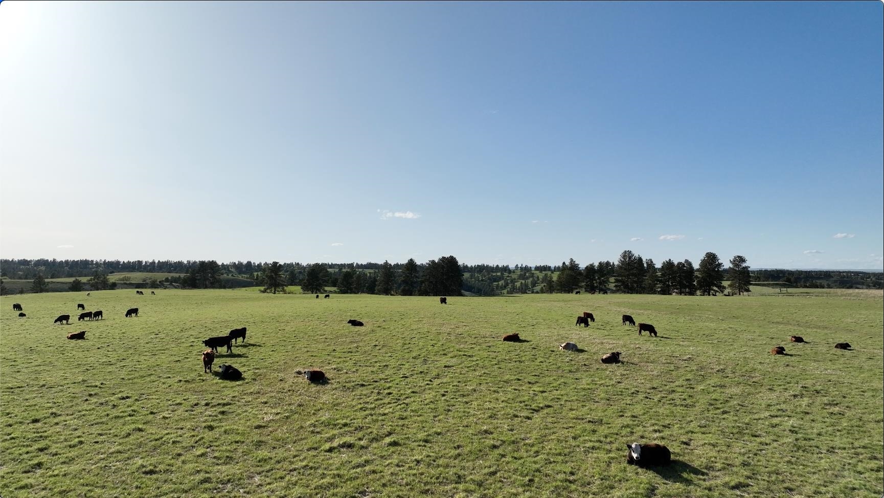 100 Mule Creek Road Hulett, WY 82720 - Photo 13 of 21