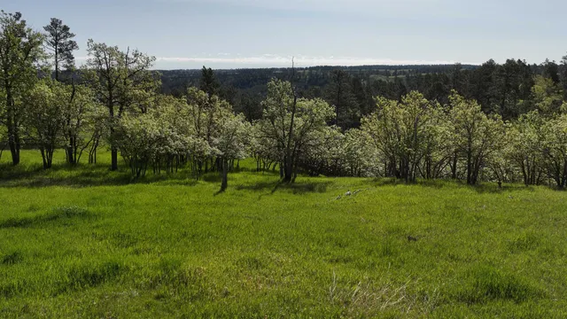 $6,750,000 | 100 Mule Creek Road, Hulett, WY 82720