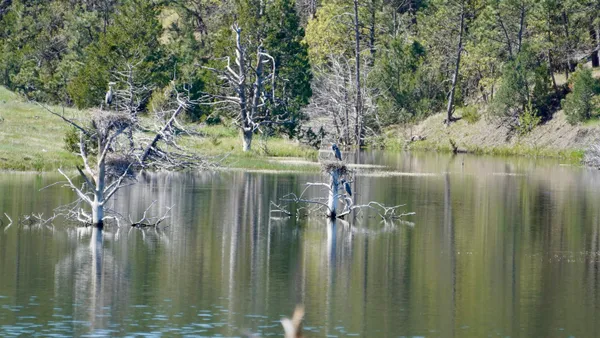 $6,750,000 | 100 Mule Creek Road, Hulett, WY 82720