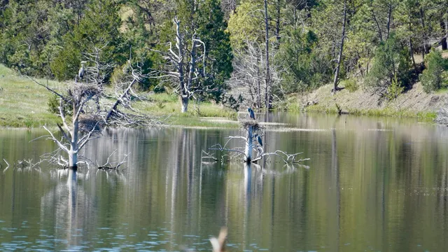 $6,750,000 | 100 Mule Creek Road, Hulett, WY 82720