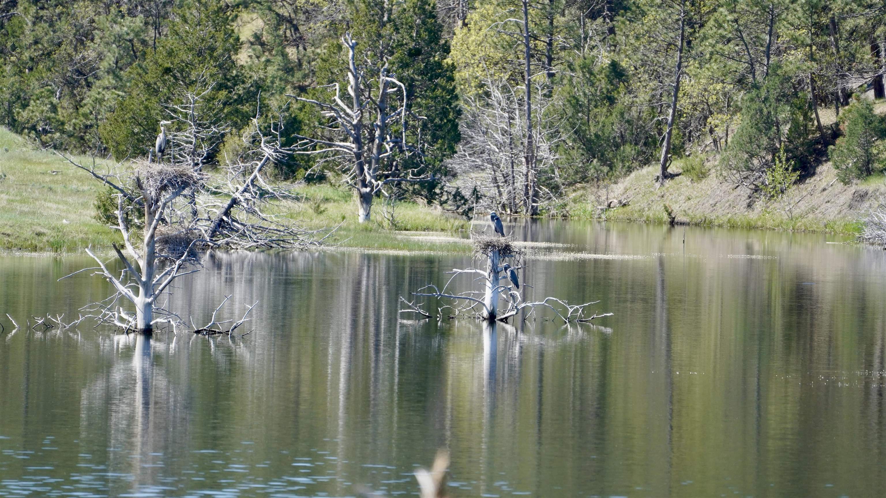 100 Mule Creek Road Hulett, WY 82720 - Photo 2 of 21