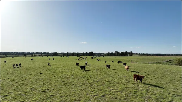 $6,750,000 | 100 Mule Creek Road, Hulett, WY 82720