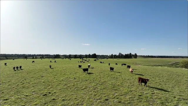 $6,750,000 | 100 Mule Creek Road, Hulett, WY 82720