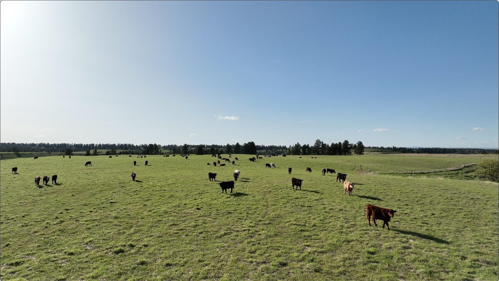 100 Mule Creek Road Hulett, WY 82720 - Photo 4 of 21