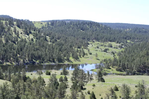 $6,750,000 | 100 Mule Creek Road, Hulett, WY 82720