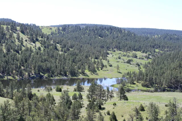 $6,750,000 | 100 Mule Creek Road, Hulett, WY 82720