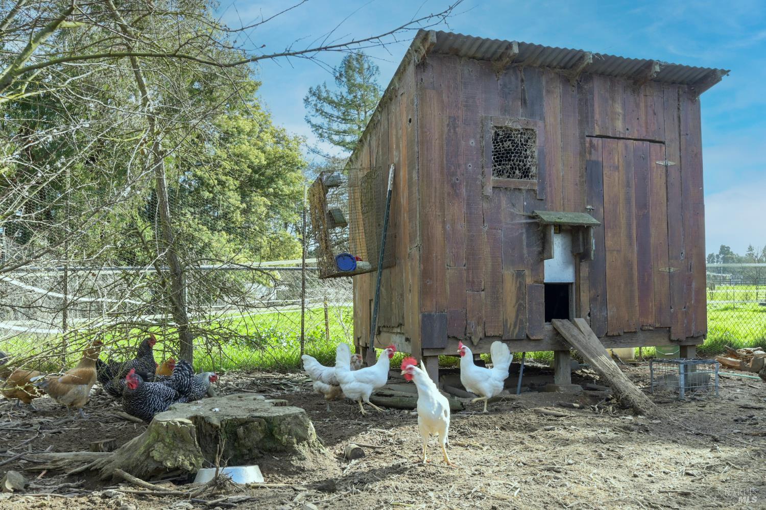 5563 McFarlane Road Sebastopol, CA 95472 - Photo 46 of 47