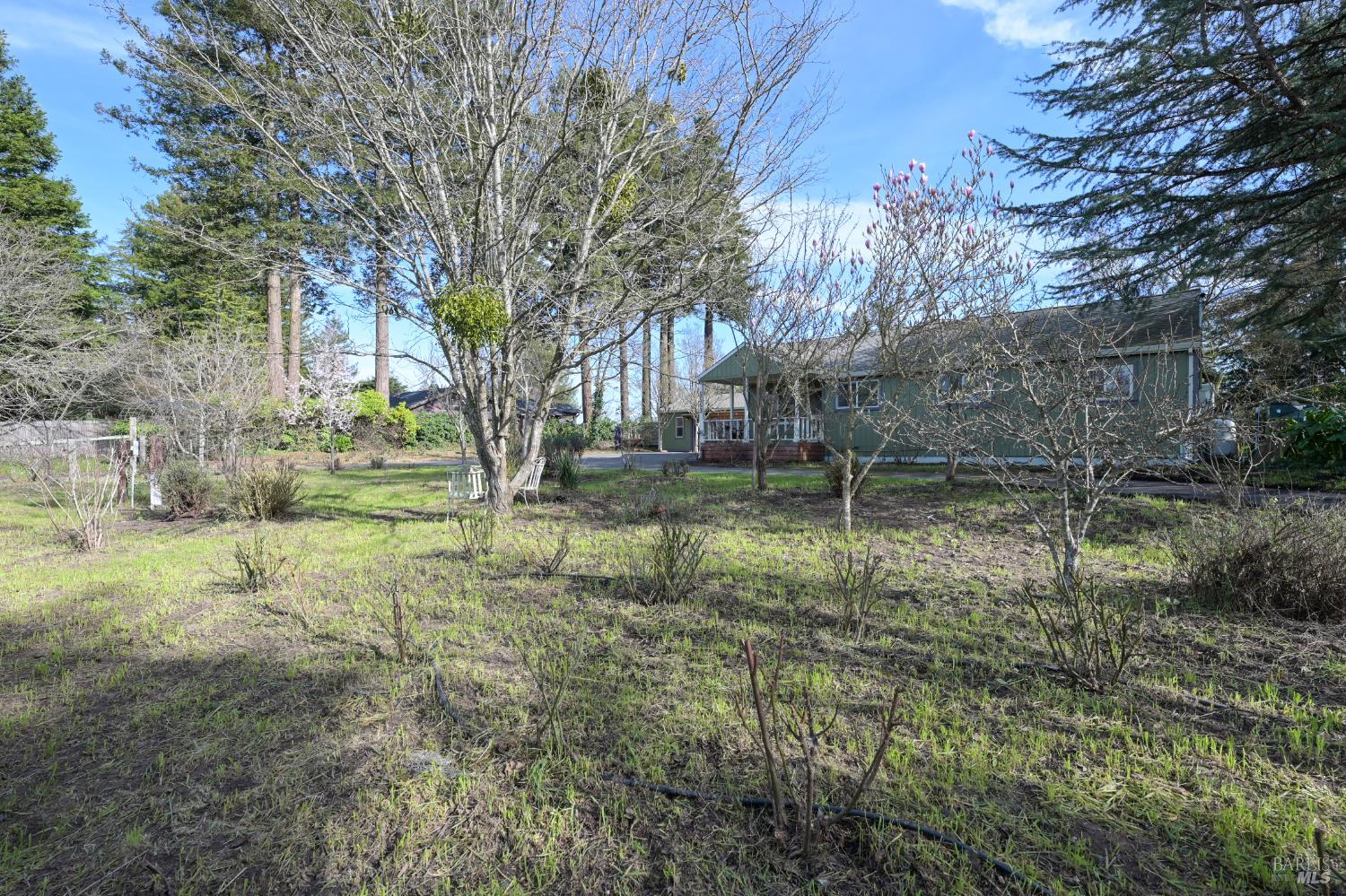 5563 McFarlane Road Sebastopol, CA 95472 - Photo 5 of 47