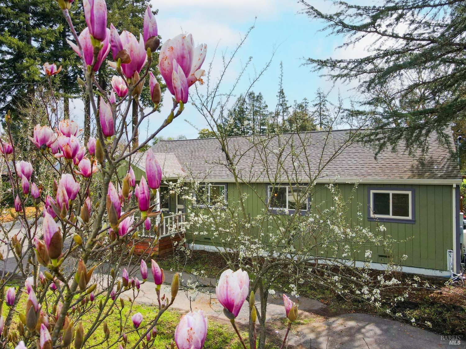 5563 McFarlane Road Sebastopol, CA 95472 - Photo 53 of 77