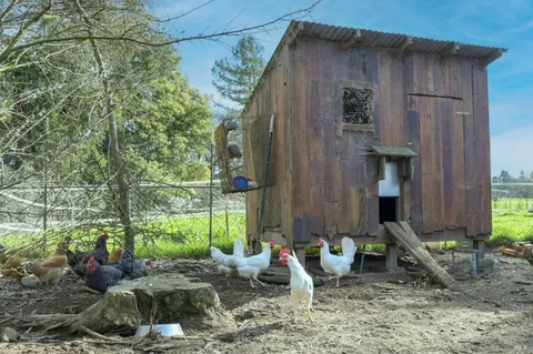 $1,230,000 | 5563 McFarlane Road, Sebastopol, CA 95472