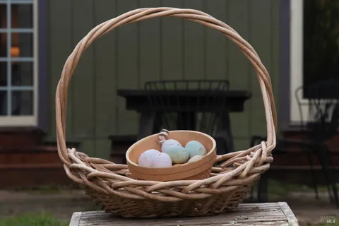 $1,230,000 | 5563 McFarlane Road, Sebastopol, CA 95472