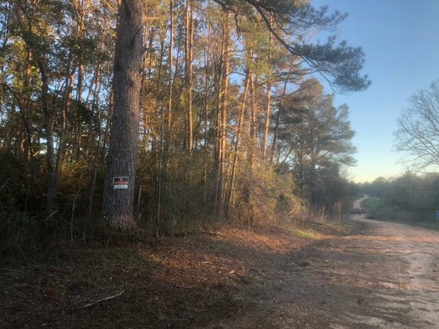 Tbd Tbd Integrity Road McComb, MS 39648 - Photo 1 of 5 Main View